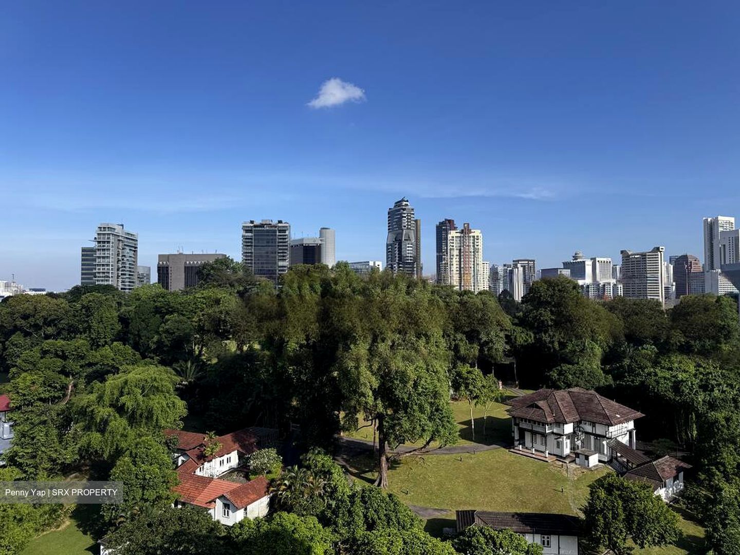 Balmoral 8 (D10), Condominium #480461271
